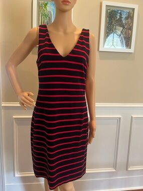 Banana Republic Blue  Dress with  Red Stripes
